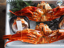 画像をギャラリービューアに読み込む, 【先着1名限定】半松葉2杯と蟹みそセット
