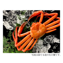 画像をギャラリービューアに読み込む, 香住蟹(紅ずわいがに) 双福-soufuku-