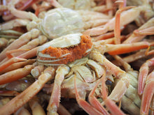 画像をギャラリービューアに読み込む, 釜茹でせこがに