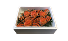 画像をギャラリービューアに読み込む, 釜茹でせこがに