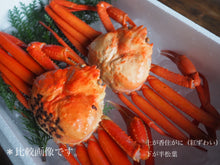 画像をギャラリービューアに読み込む, 【今週末お届け限定】半松葉と蟹みそセット
