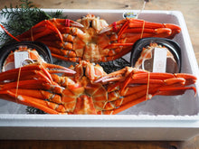 画像をギャラリービューアに読み込む, 【先着1名限定】半松葉2杯と蟹みそセット
